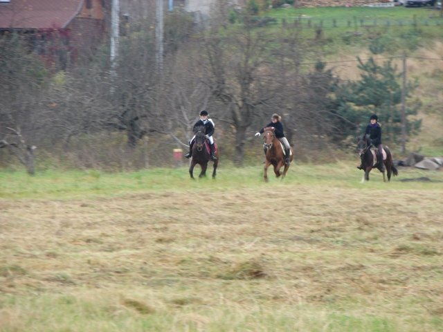 Hubertus 2010